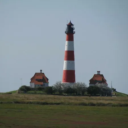 Schwalben-hof-seehund * Oldenswort